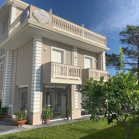 Crialesi Boutique Rooms Falerna Exteriör bild